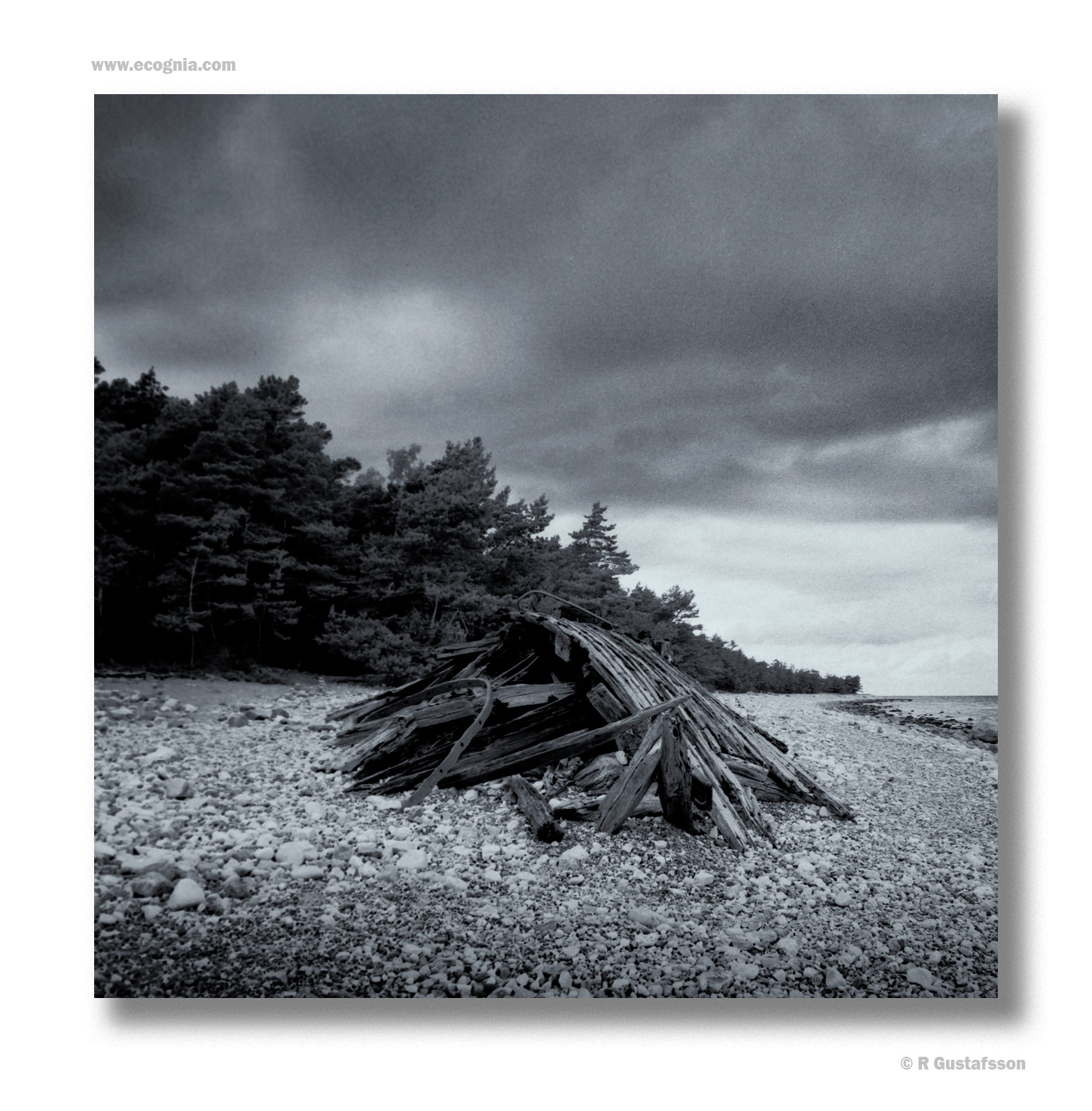 Öland_26_5.jpg