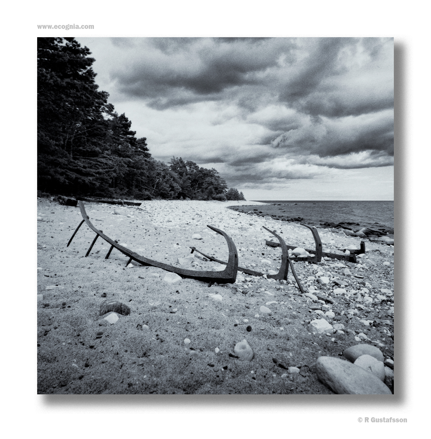 Öland_26_9.jpg