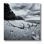 Öland_26_9.jpg